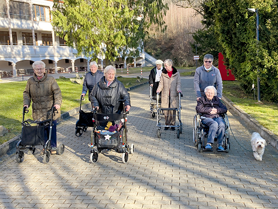Immer in Bewegung bleiben - gemeinsamer Spaziergang im Park